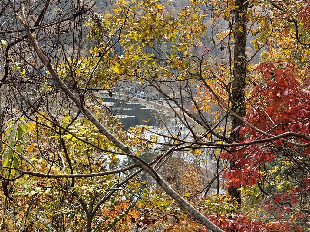 Globe Road Lenoir, NC 28645 - Photo 10 of 40 Gallery Image 10