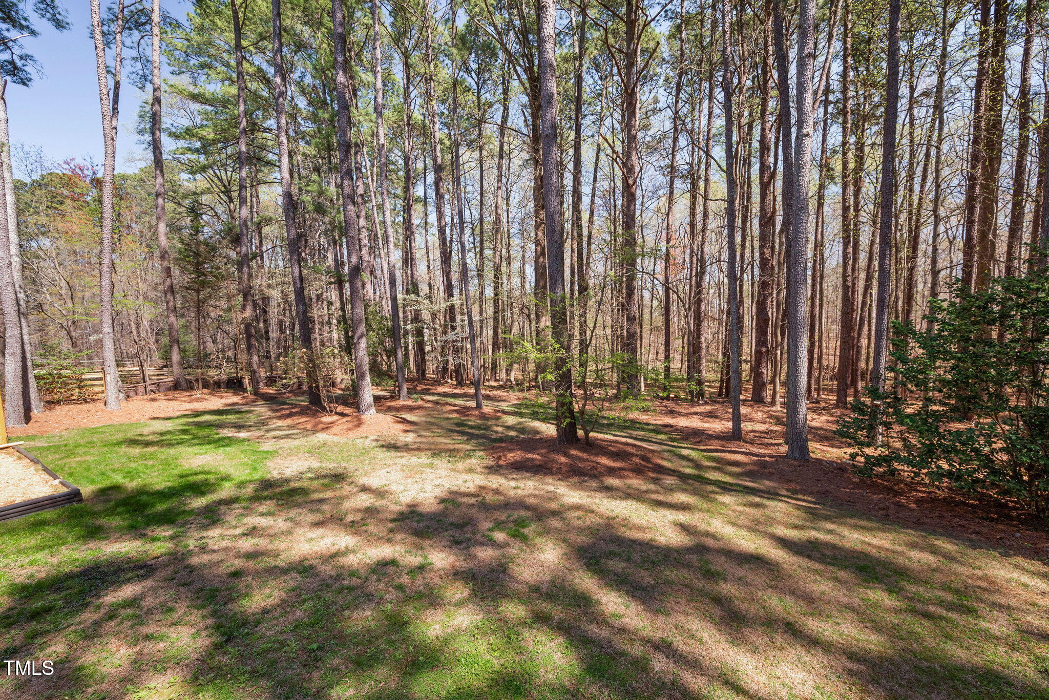 7917 Blaney Franks Road Apex, NC 27539 - Photo 41 of 50 a view of backyard with tall trees