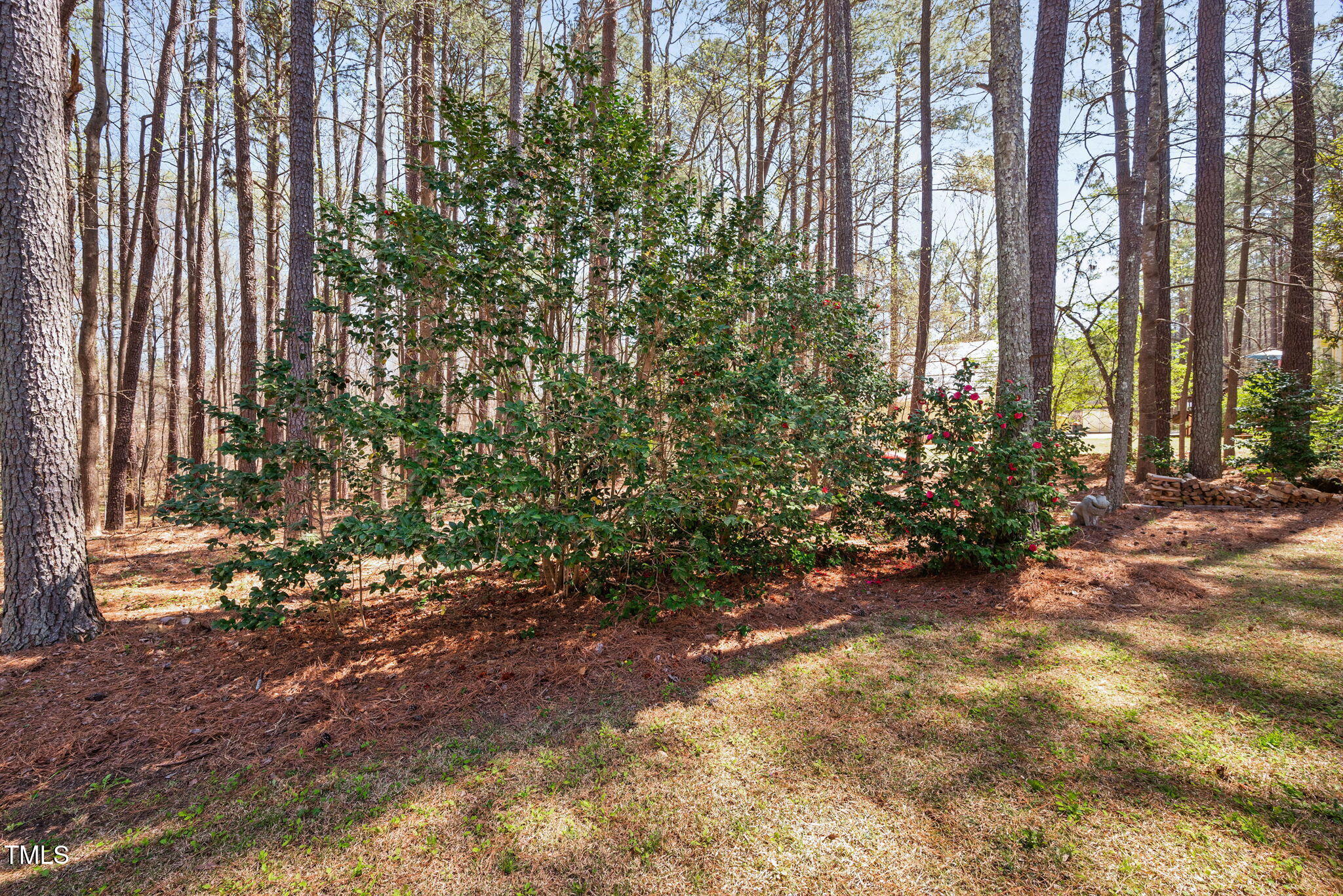 7917 Blaney Franks Road Apex, NC 27539 - Photo 42 of 50