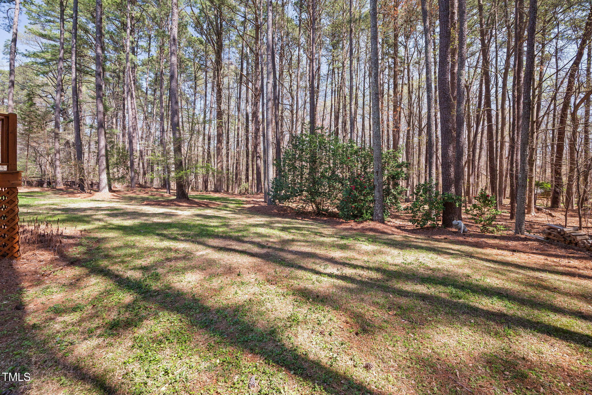 7917 Blaney Franks Road Apex, NC 27539 - Photo 43 of 50 a view of outdoor space yard and basketball court