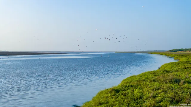 $2,728,800 | 1118 County Road 2220E, Kingsville, TX 78363