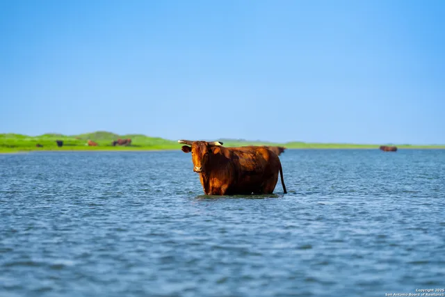 $2,728,800 | 1118 County Road 2220E, Kingsville, TX 78363