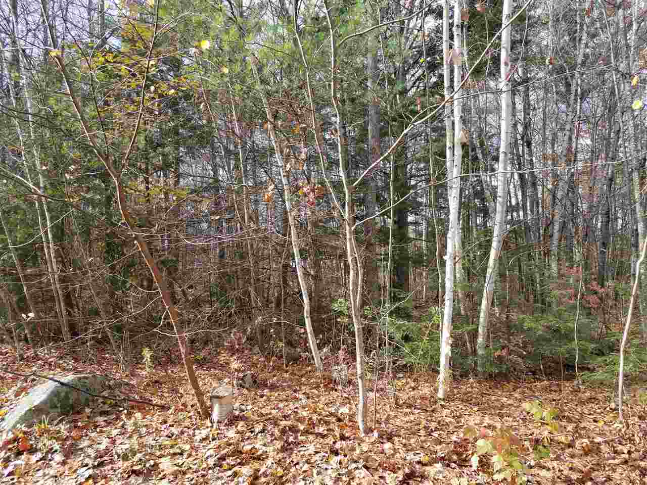 Lot 2 Orchards Road, Unit 2 Wolfeboro, NH 03894 - Photo 2 of 3