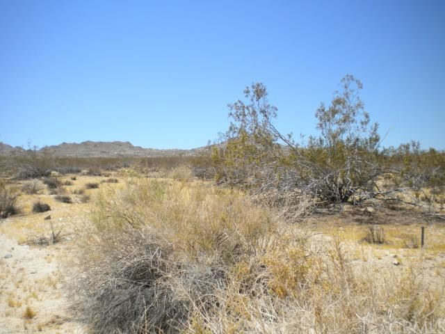 0 Lawrence Road Joshua Tree, CA 00000 - Photo 1 of 1