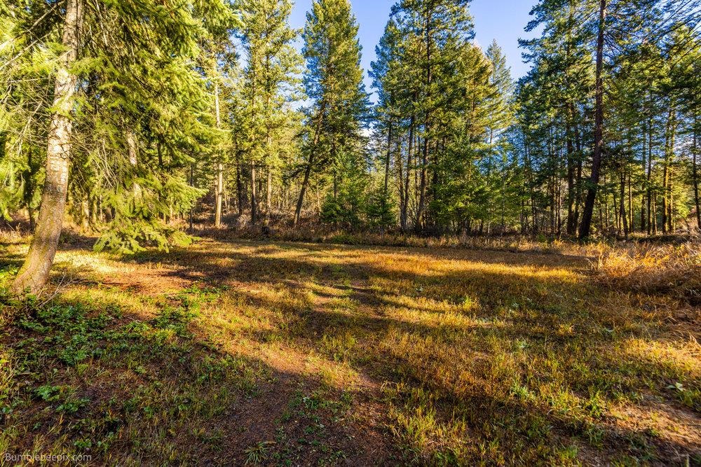 2353 C Addy-Gifford Road Addy, WA 99101 - Photo 40 of 50