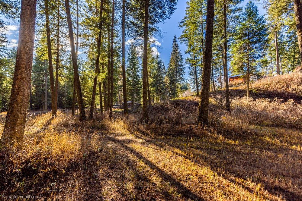 2353 C Addy-Gifford Road Addy, WA 99101 - Photo 41 of 50