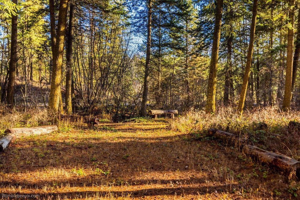 2353 C Addy-Gifford Road Addy, WA 99101 - Photo 42 of 50