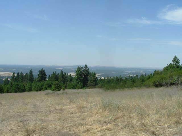 7301 East Jamieson Road Spokane, WA 99223 - Photo 1 of 7