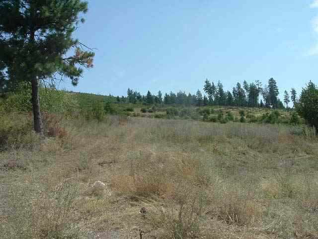7301 East Jamieson Road Spokane, WA 99223 - Photo 3 of 7
