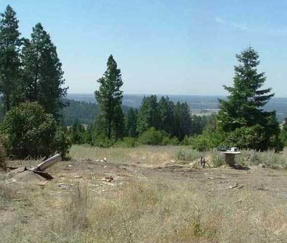 7301 East Jamieson Road Spokane, WA 99223 - Photo 4 of 7