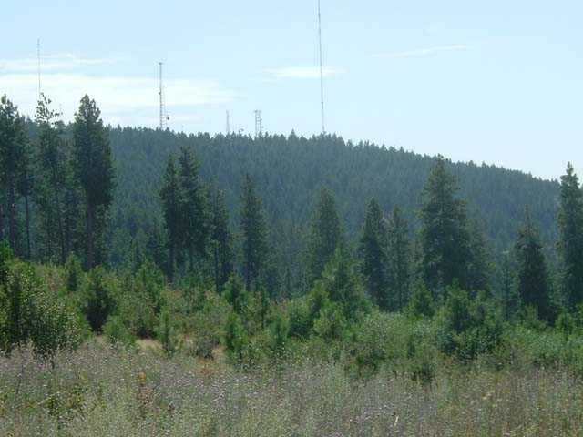 7301 East Jamieson Road Spokane, WA 99223 - Photo 6 of 7