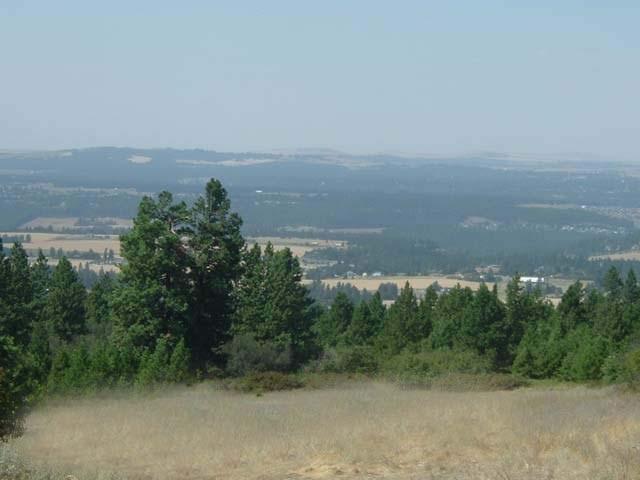 7301 East Jamieson Road Spokane, WA 99223 - Photo 7 of 7