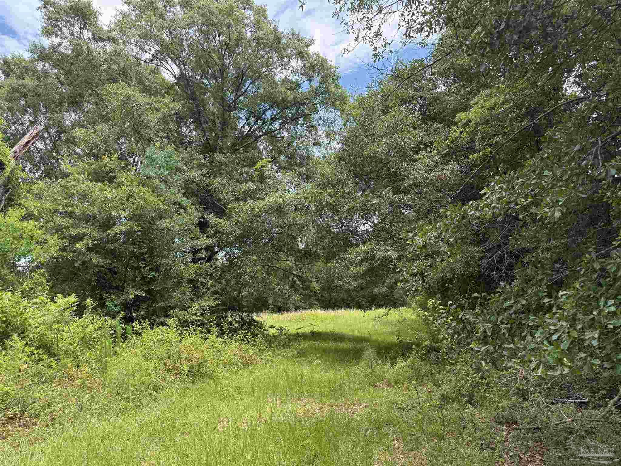 296 Salters Lake Road Century, FL 32535 - Photo 17 of 34