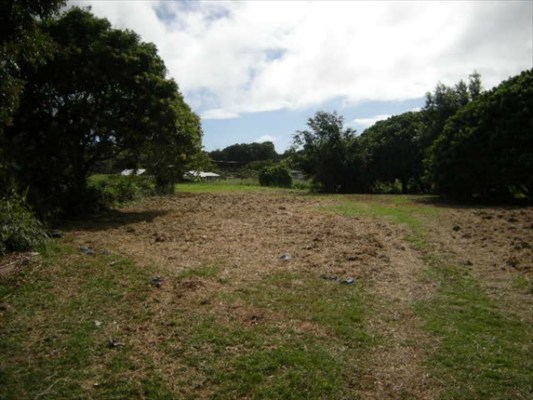 30 F Moa Road Kapaa, HI 96746 - Photo 3 of 6 a view of a field with trees
