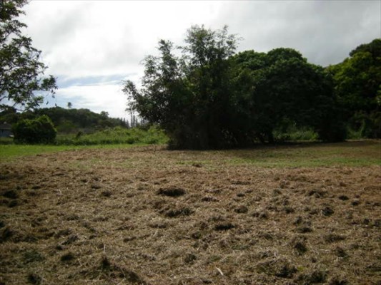 30 F Moa Road Kapaa, HI 96746 - Photo 6 of 6 a view of a field with trees in background