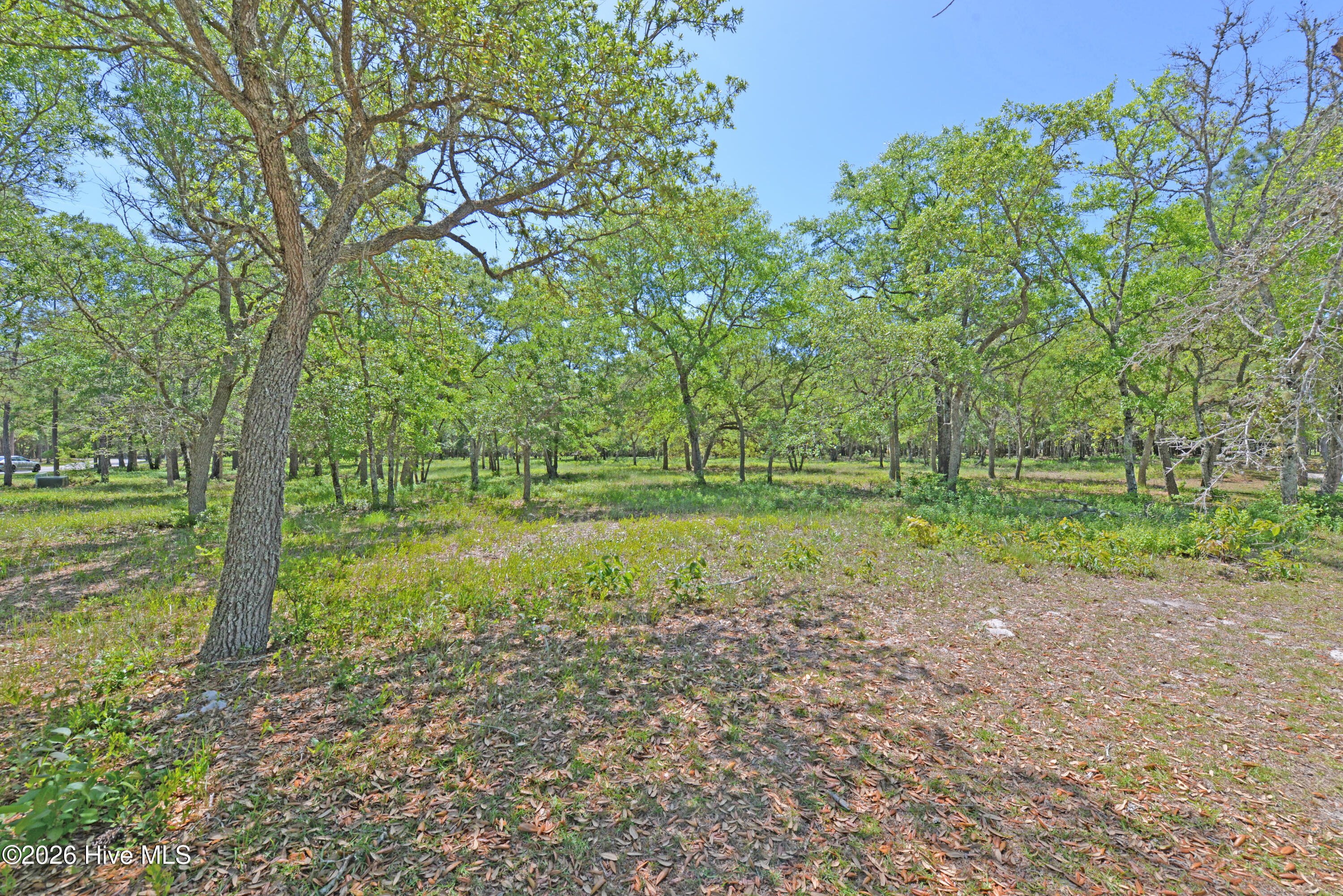 587 Maritime Way Southwest Supply, NC 28462 - Photo 2 of 23 view 2