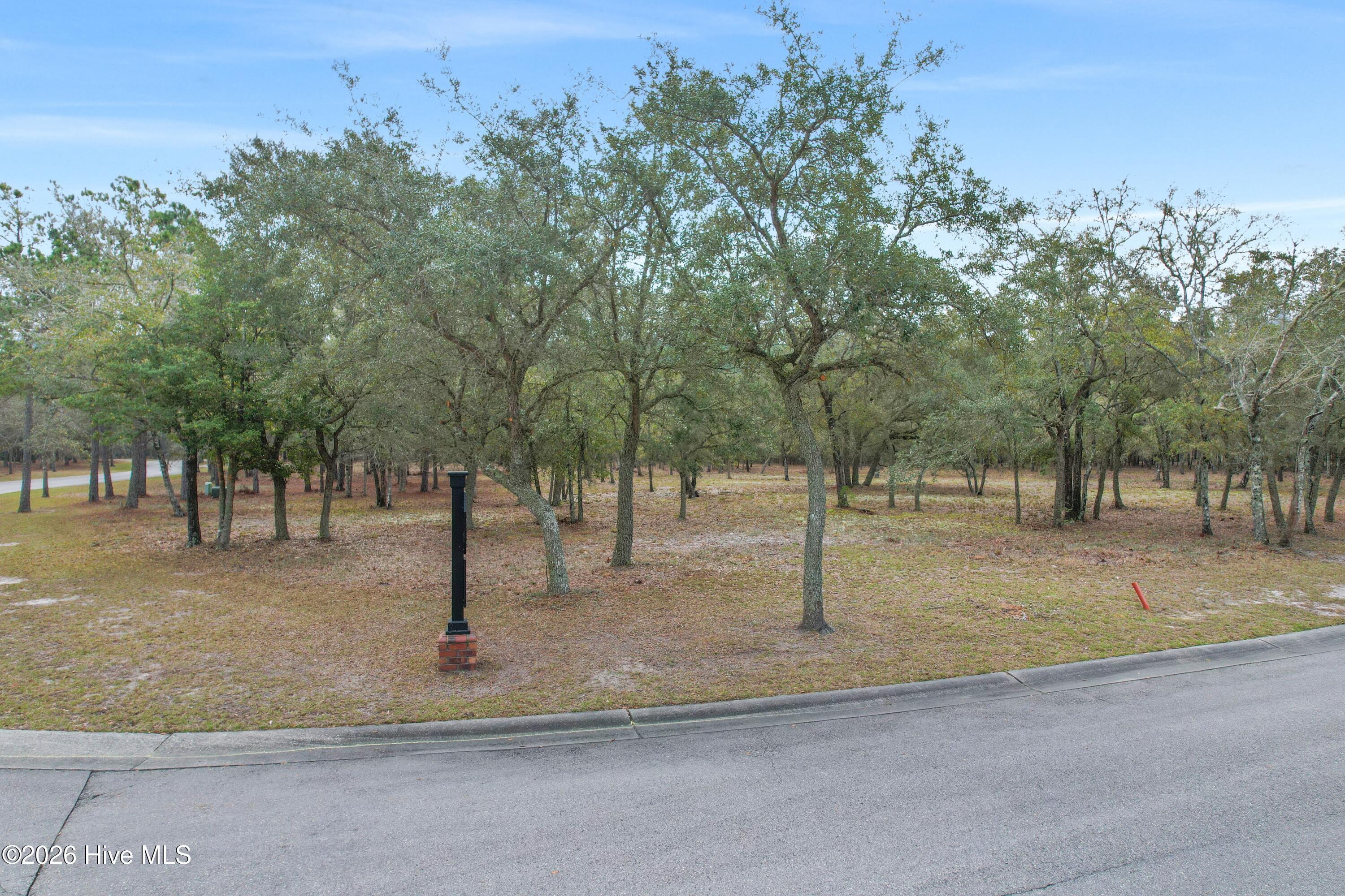 587 Maritime Way Southwest Supply, NC 28462 - Photo 4 of 23 587MaritimeWaySW - 2