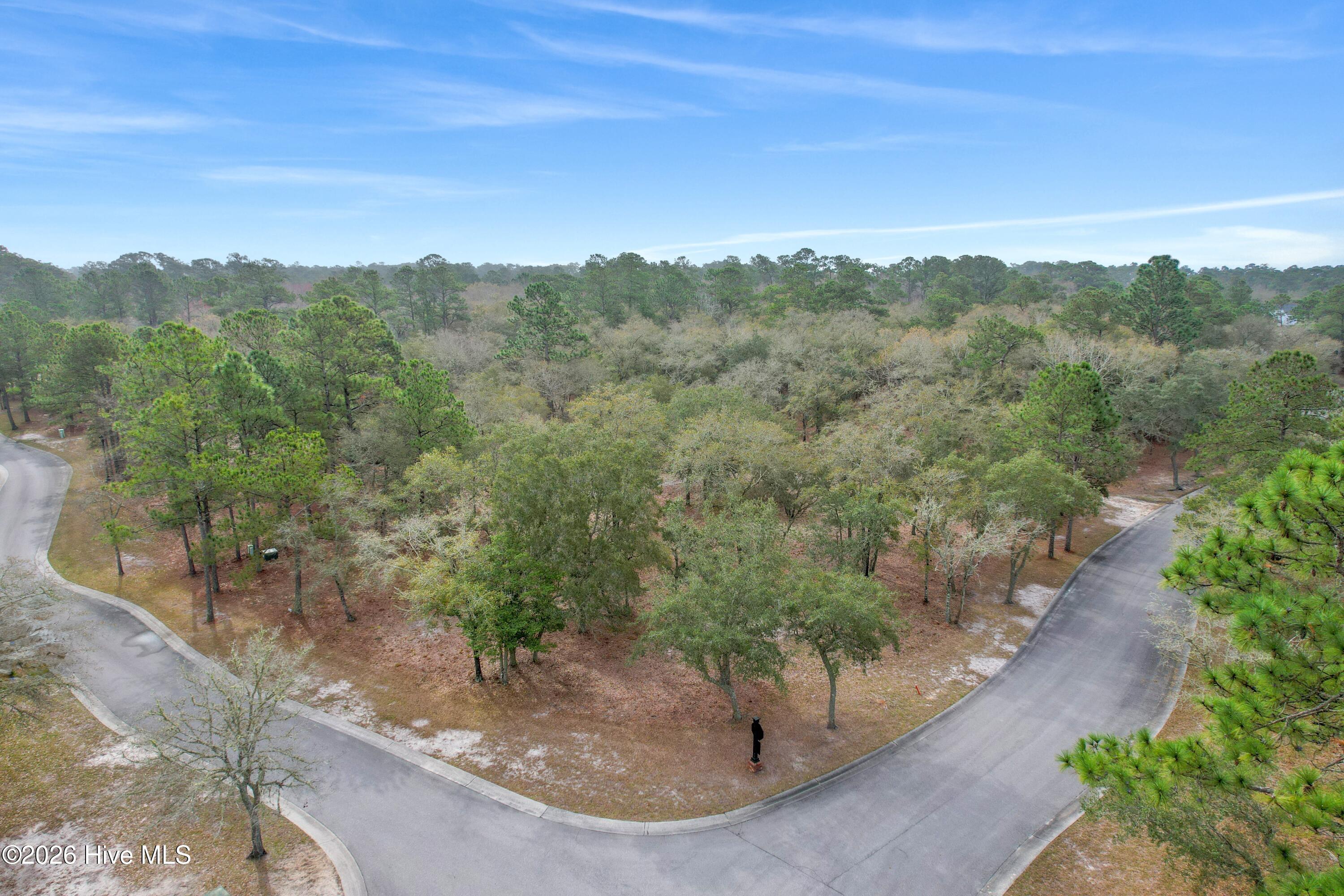 587 Maritime Way Southwest Supply, NC 28462 - Photo 5 of 23 587MaritimeWaySW - 3