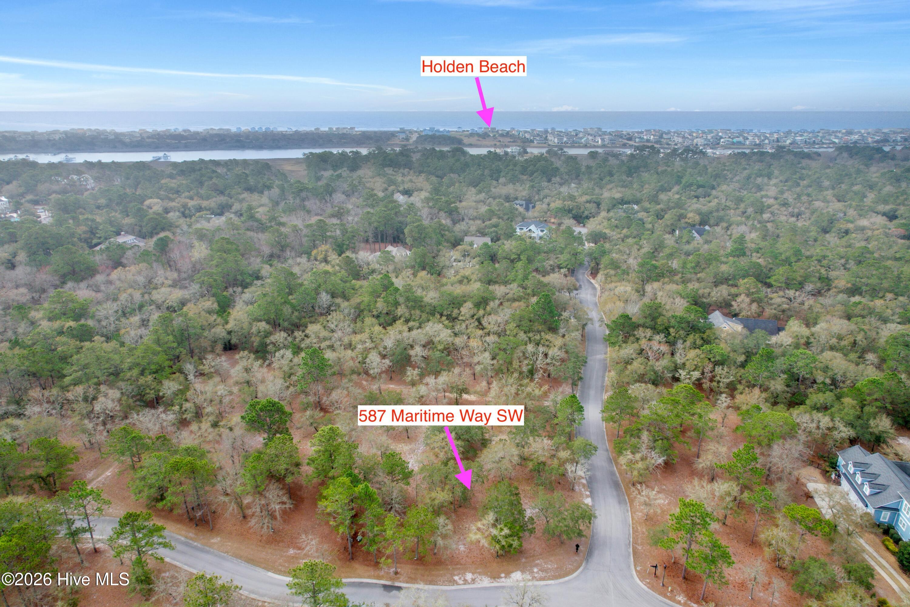587 Maritime Way Southwest Supply, NC 28462 - Photo 6 of 23 587MaritimeWaySW - 4