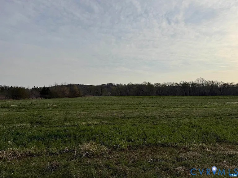 0 Paynes Pond Road Scottsville, VA 24590 - Photo 7 of 44
