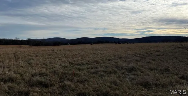 $87,000 | 0 East E Highway, Ironton, MO 63650