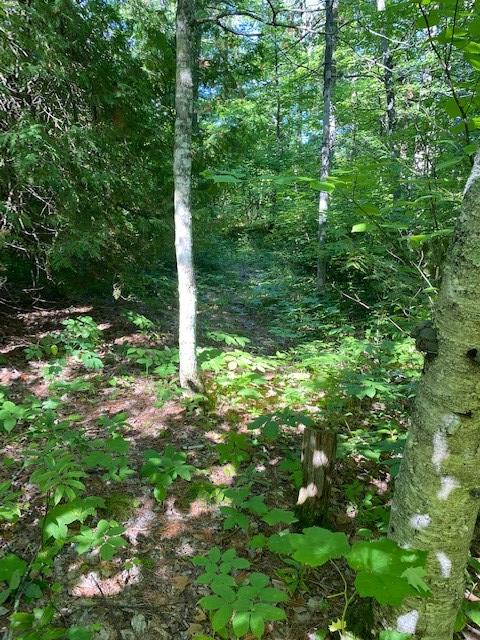 Lakeview Road Ellison Bay, WI 54210 - Photo 21 of 23 Gallery Image 21