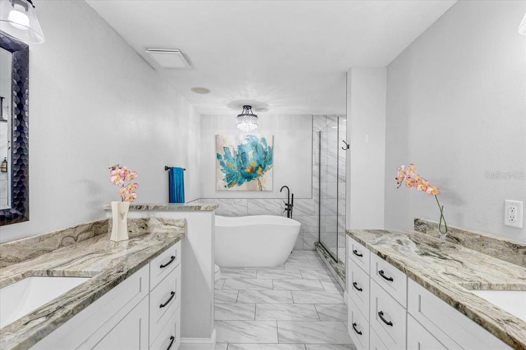 4710 Stearns Road Valrico, FL 33596 - Photo 33 of 63 a bathroom with a granite countertop sink and a mirror