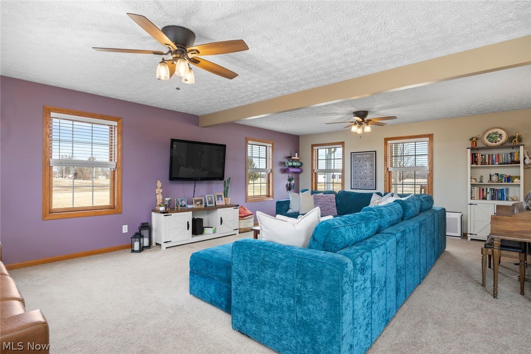 4273 Old State Road Willard, OH 44890 - Photo 17 of 50 Living room with a ceiling fan, carpet flooring, and a textured ceiling