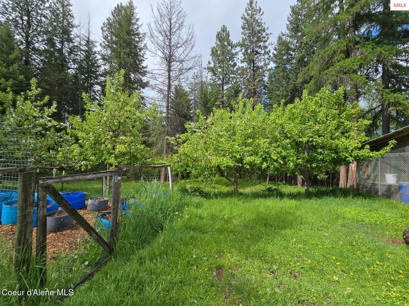 327 Winter Road Moyie Springs, ID 83845 - Photo 11 of 26 winter11