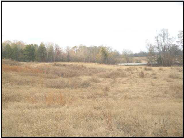 12 Saxton Road Benton, MS 39039 - Photo 2 of 10 Photo 2