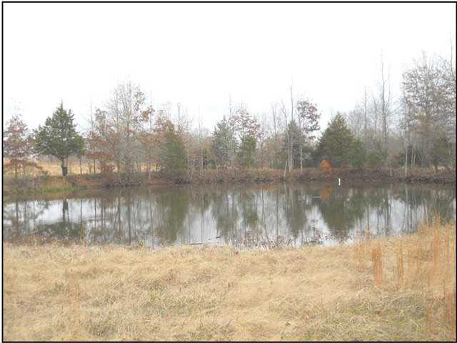 12 Saxton Road Benton, MS 39039 - Photo 6 of 10 Photo 6