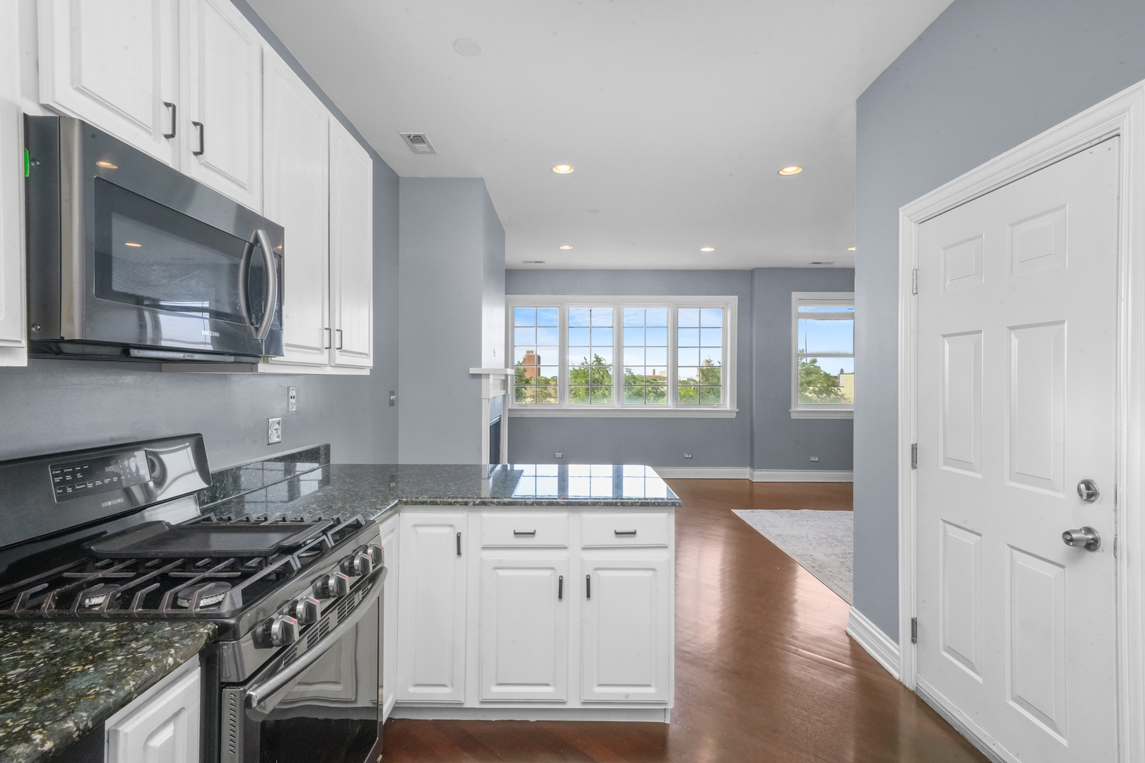 2503 West Harrison Street, Unit 4 Chicago, IL 60612 - Photo 13 of 31 a kitchen with stainless steel appliances granite countertop a stove and a wooden floors