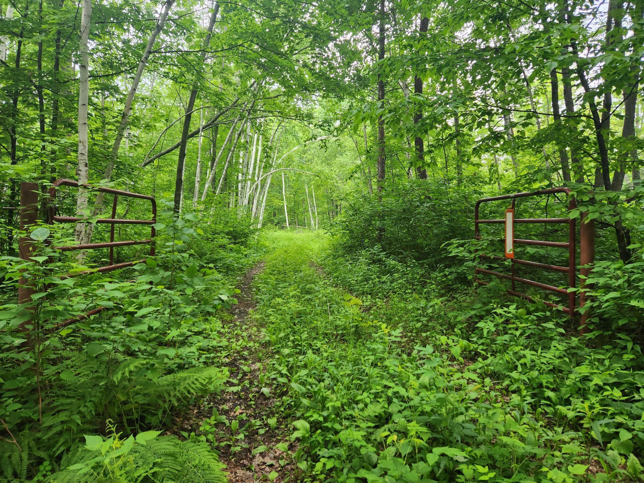 Tbd Tbd Nokay Hall Road Brainerd, MN 56401 - Photo 11 of 31