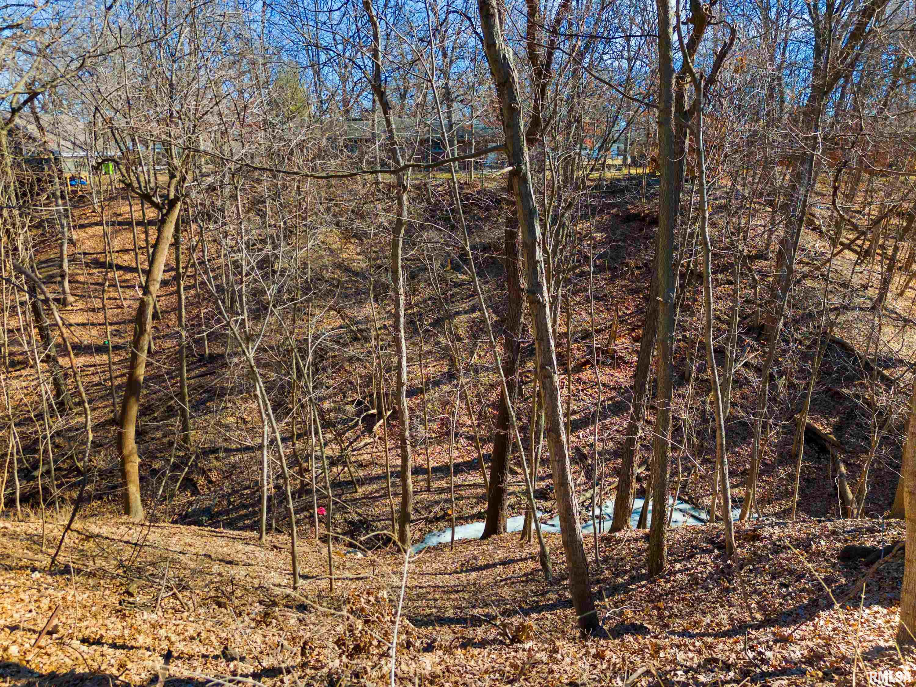 9156 North Timber Lane Peoria, IL 61615 - Photo 10 of 48