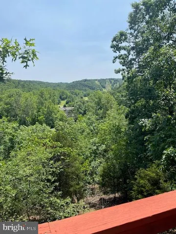 a view of a garden with a tree