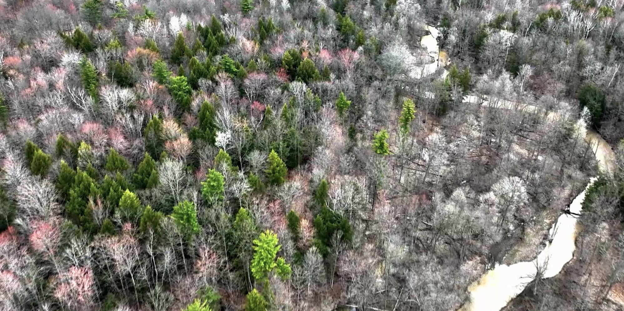 Rynn Road North Street, MI 48049 - Photo 6 of 15