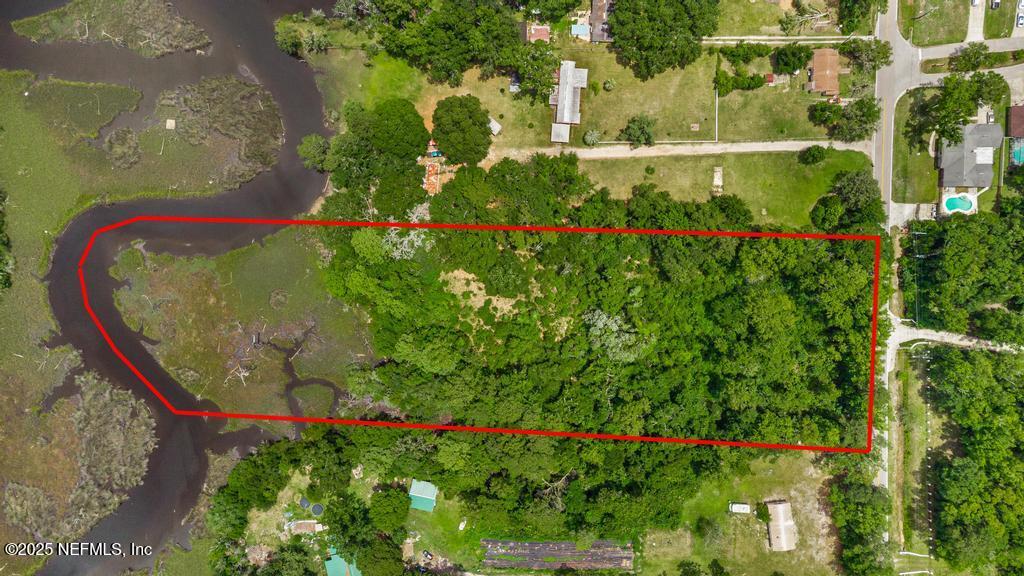 a close up of a flower in a garden