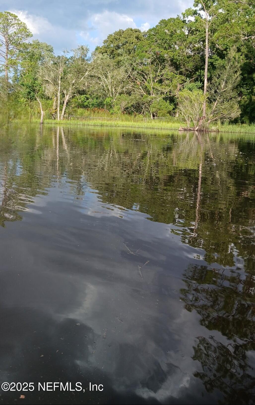 5771 Gilchrist Road Jacksonville, FL 32219 - Photo 3 of 10 a view of a lake from a yard