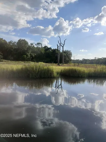 a view of a lake with large trees