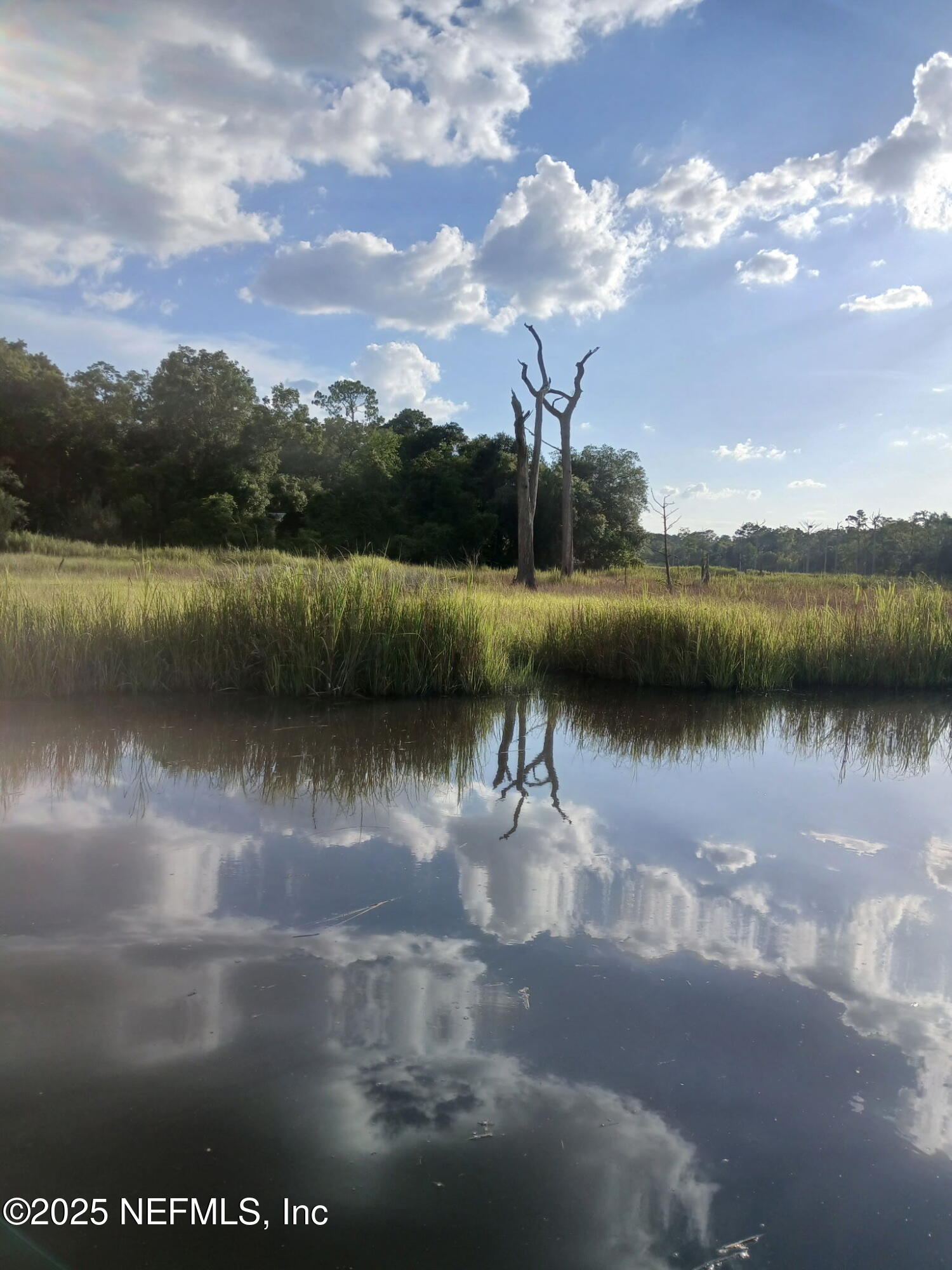 5771 Gilchrist Road Jacksonville, FL 32219 - Photo 4 of 10 a view of a lake with large trees