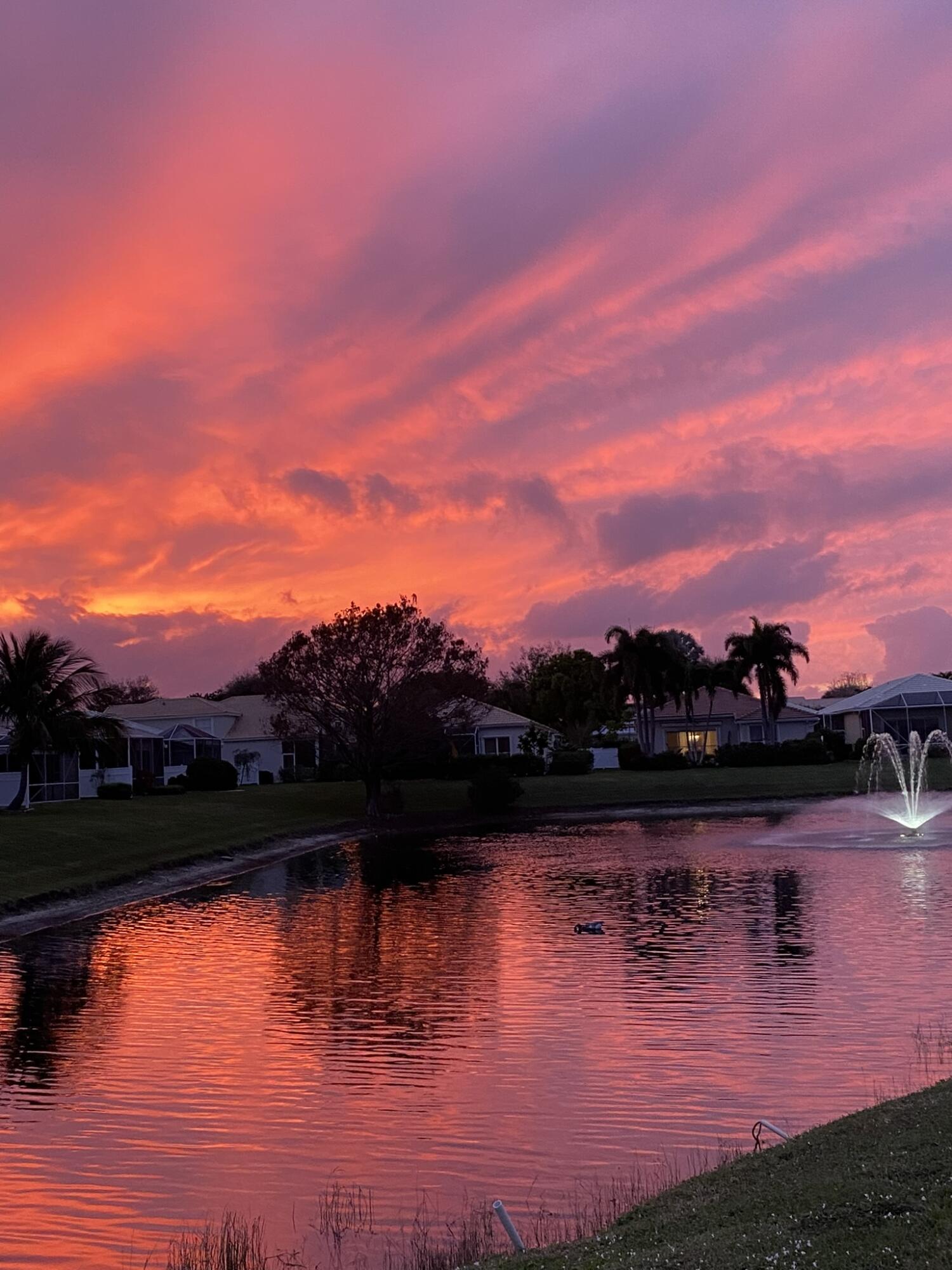 6474 Colomera Drive Boca Raton, FL 33433 - Photo 62 of 63 sunsets