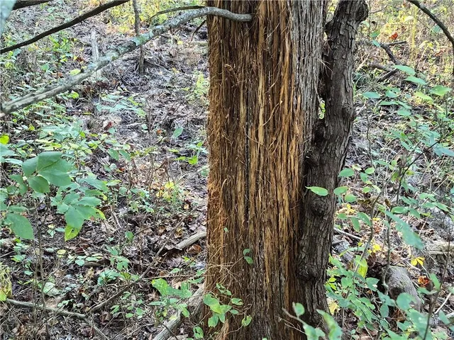 $352,000 | 0 1200th Road, Fredonia, KS 66736