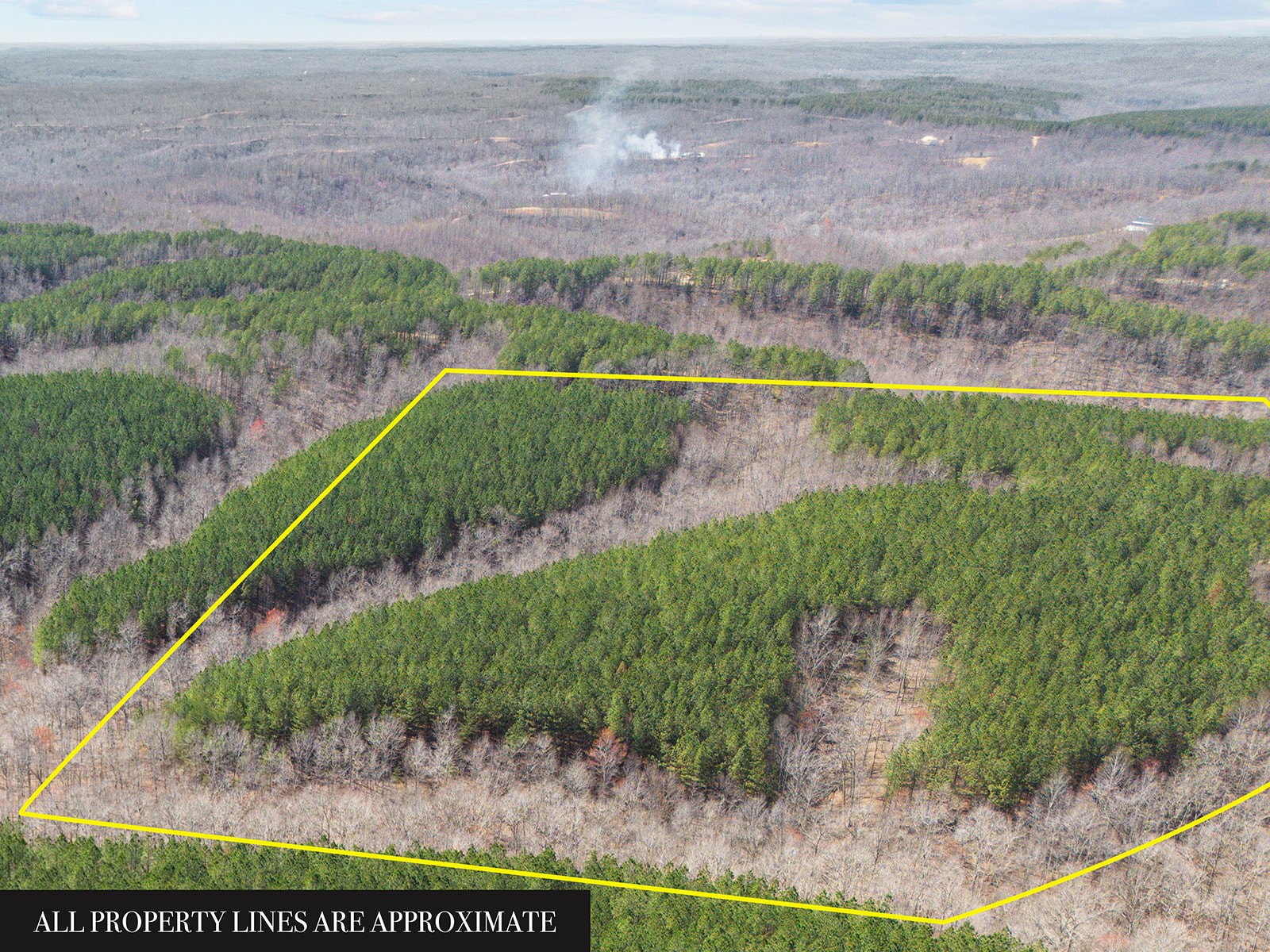 0 Cotton Branch Road Linden, TN 37096 - Photo 1 of 9 Gallery Image 1