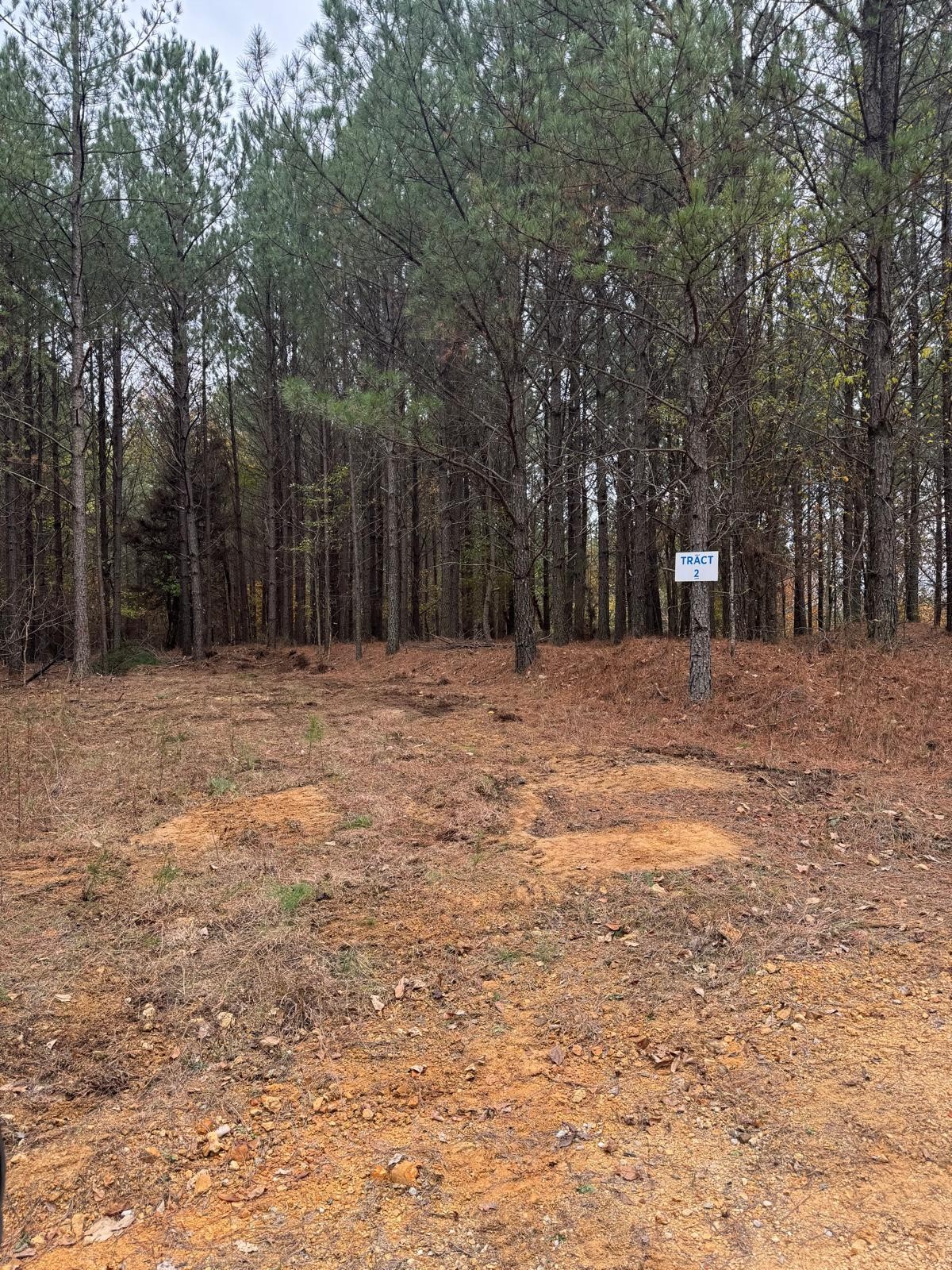 0 Cotton Branch Road Linden, TN 37096 - Photo 3 of 9 Gallery Image 3