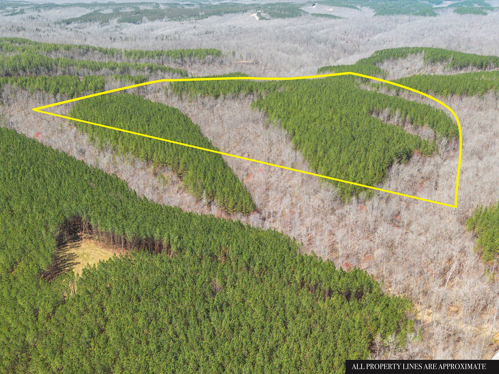 0 Cotton Branch Road Linden, TN 37096 - Photo 4 of 9 Gallery Image 4