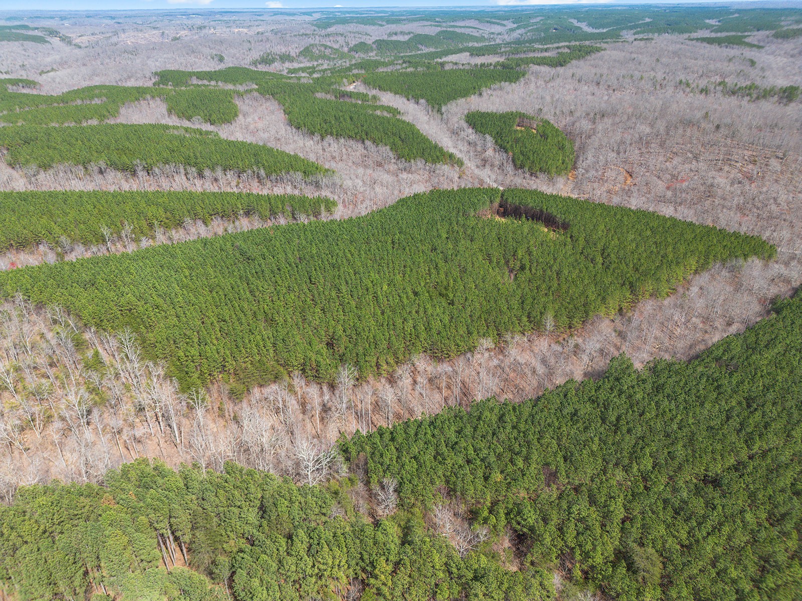 0 Cotton Branch Road Linden, TN 37096 - Photo 6 of 9 Gallery Image 6