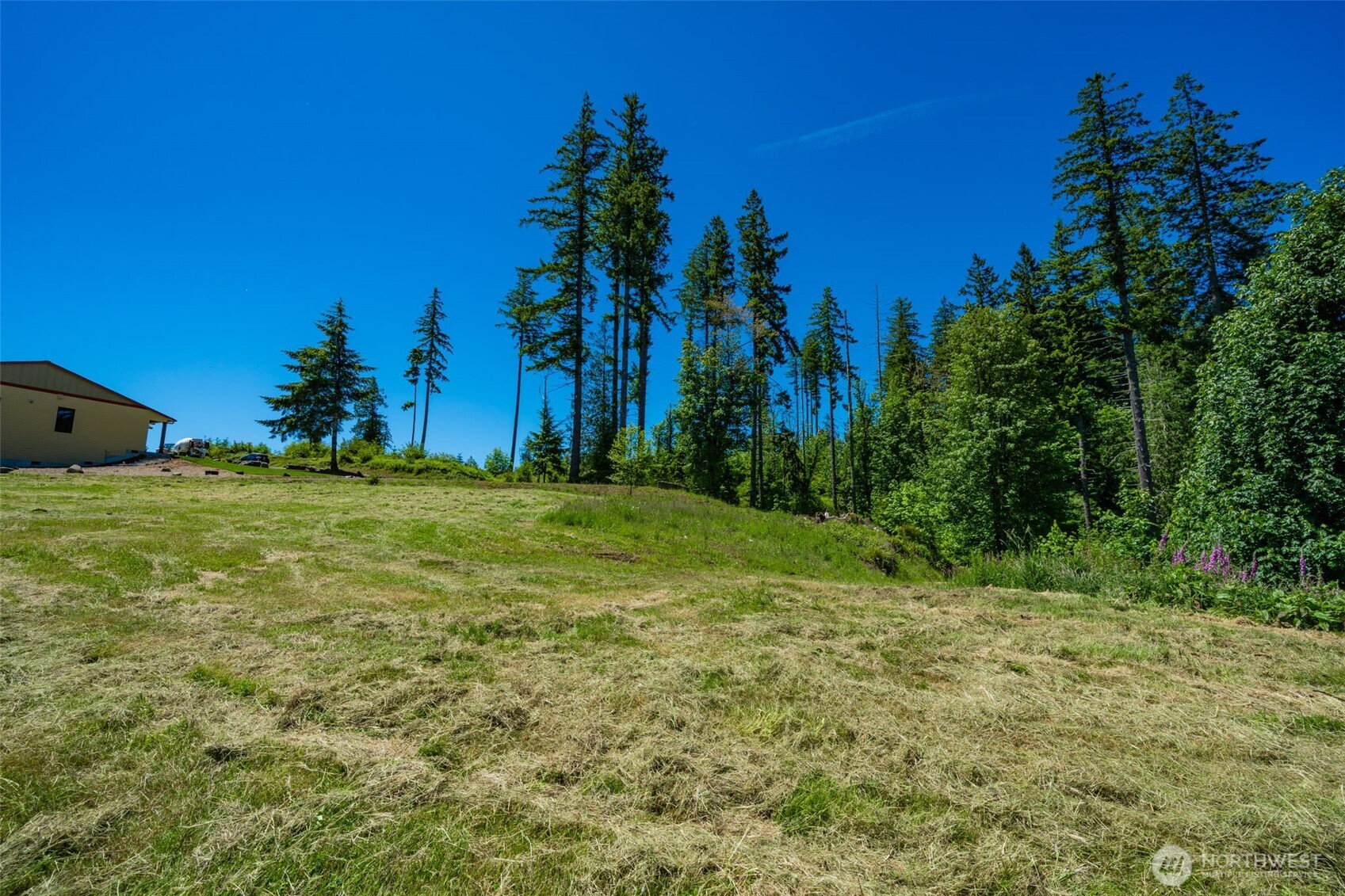 0 South Silver Lake Road Castle Rock, WA 98611 - Photo 4 of 18