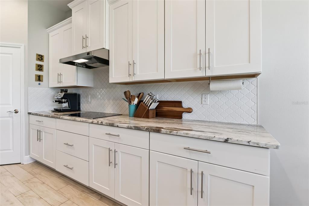 7256 Heather Sound Loop Wesley Chapel, FL 33545 - Photo 11 of 30