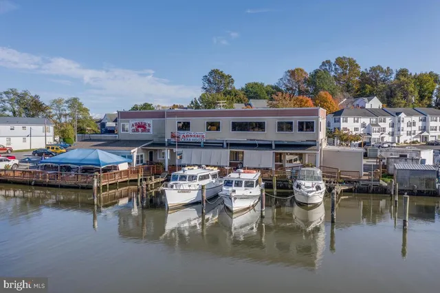 a water view with boats and trees in the background