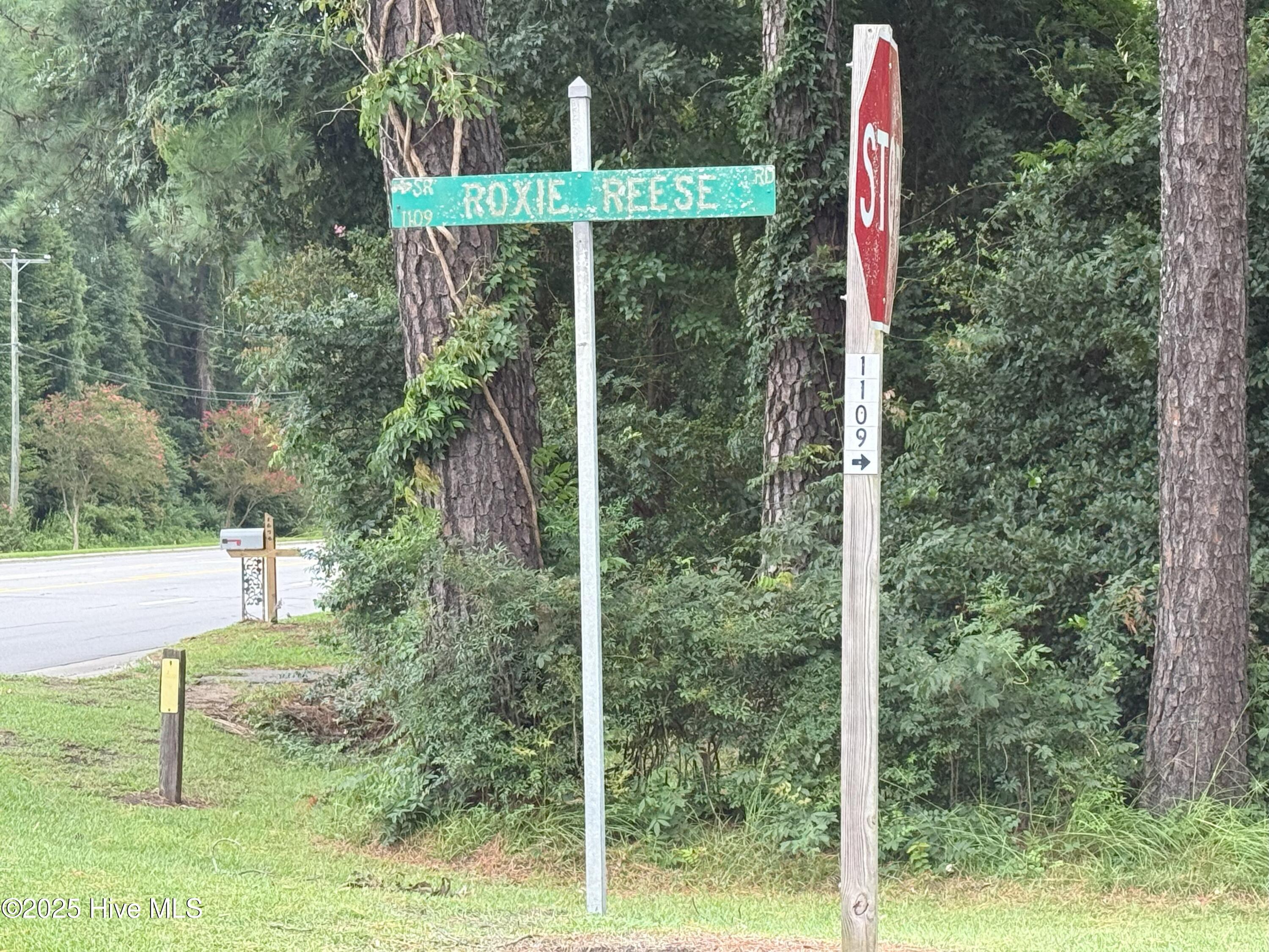 Lot #5 Roxie Reese Road Plymouth, NC 27962 - Photo 9 of 9 rrrd2